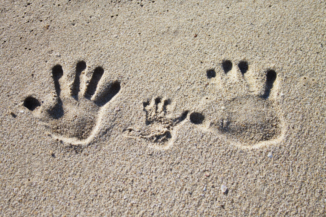 (Angela Luchianiuc/Shutterstock)