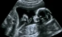 Pfizer Drip Feeds Data From Its Pregnancy Trial