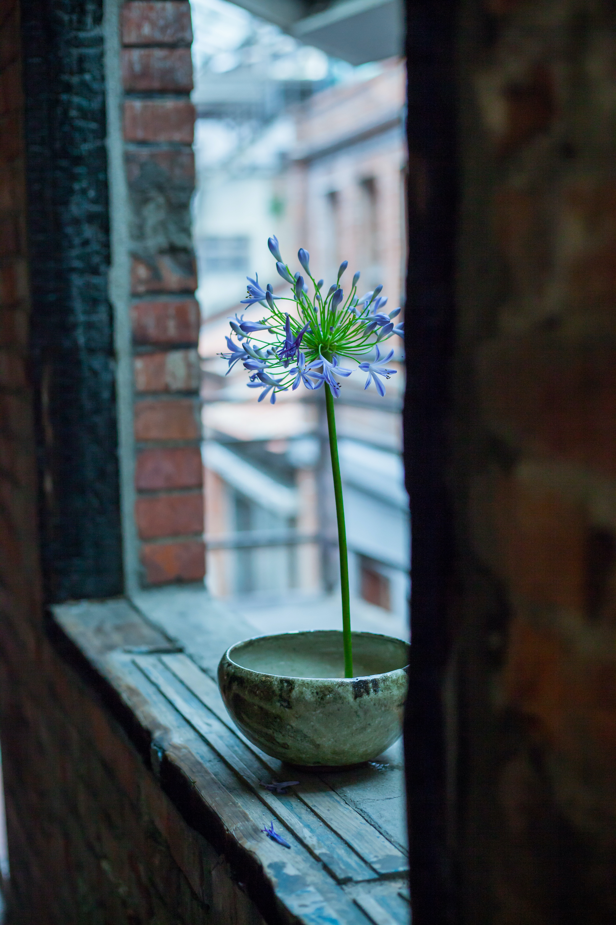 Epoch Times Photo
