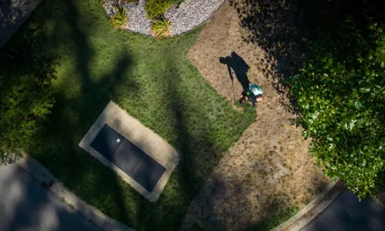 The Grass That’s Greener in Drought-Stricken BC Might Have Been Painted