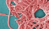 Nova Scotia Health Officials Say Legionella Outbreak in New Glasgow Considered Over