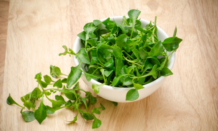 Watercress: The ‘Most Nutritious’ Vegetable, Lowers Chronic Disease Risks, Strengthens Bones, Improves Gut Health