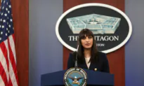 Pentagon Deputy Press Secretary Holds Briefing (Nov.14)