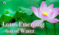 Ancient Traditional Pipa Music ‘Lotus Emerging out of Water’