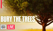 Gates Pushes Agenda to Chop Down Forests and Bury the Trees | Live With Josh