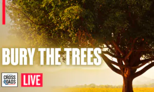 Gates Pushes Agenda to Chop Down Forests and Bury the Trees | Live With Josh