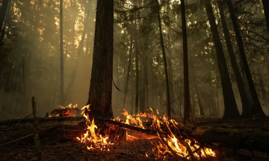 Wildfire Threat in BC Continues as Winds Pick up During Stormy Weather