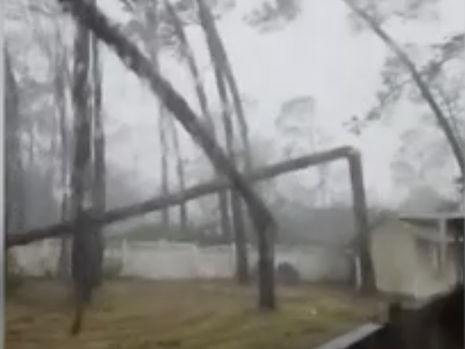Video: Hurricane Idalia causes tree to collapse onto Florida house.