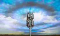 Artificial Versus Natural EMFs: Why Wi-Fi, Bluetooth, Cellphones Are Damaging to Cells