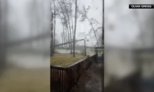 Video Footage: Tree Falls on House in Florida as Hurricane Idalia Makes Landfall