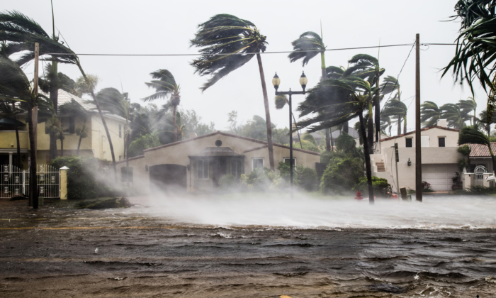 What to Know About Water, Mold, and Disease Risks During a Hurricane