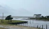 Over 800,000 Homes at Risk With Hurricane Idalia: CoreLogic Estimate
