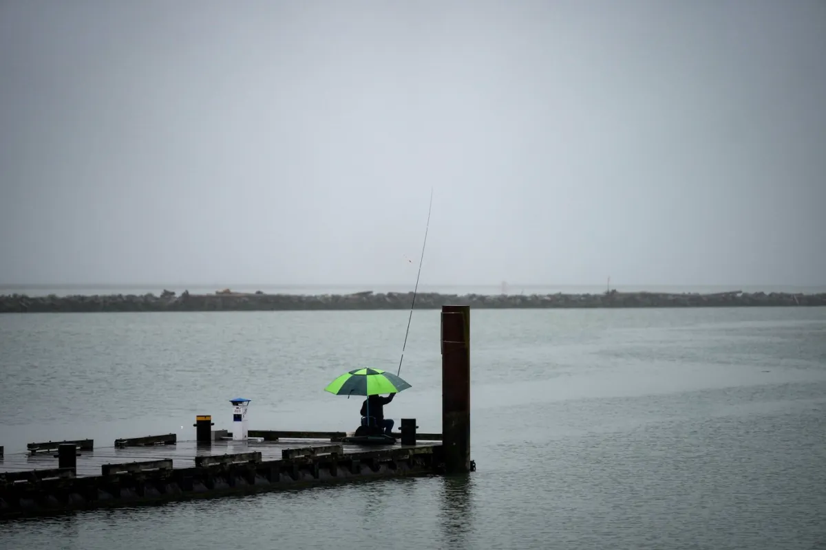 A man sits under an umbrella on a dock on the Fraser River as rain falls in Richmond, B.C., on July 24, 2023. (The Canadian Press/Darryl Dyck)