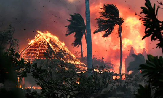 What You Should Know About Tax Deductions for Federally Declared Disasters