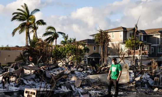 Hawaii Attorney General Subpoenas 3 Maui Agencies in Wildfire Probe