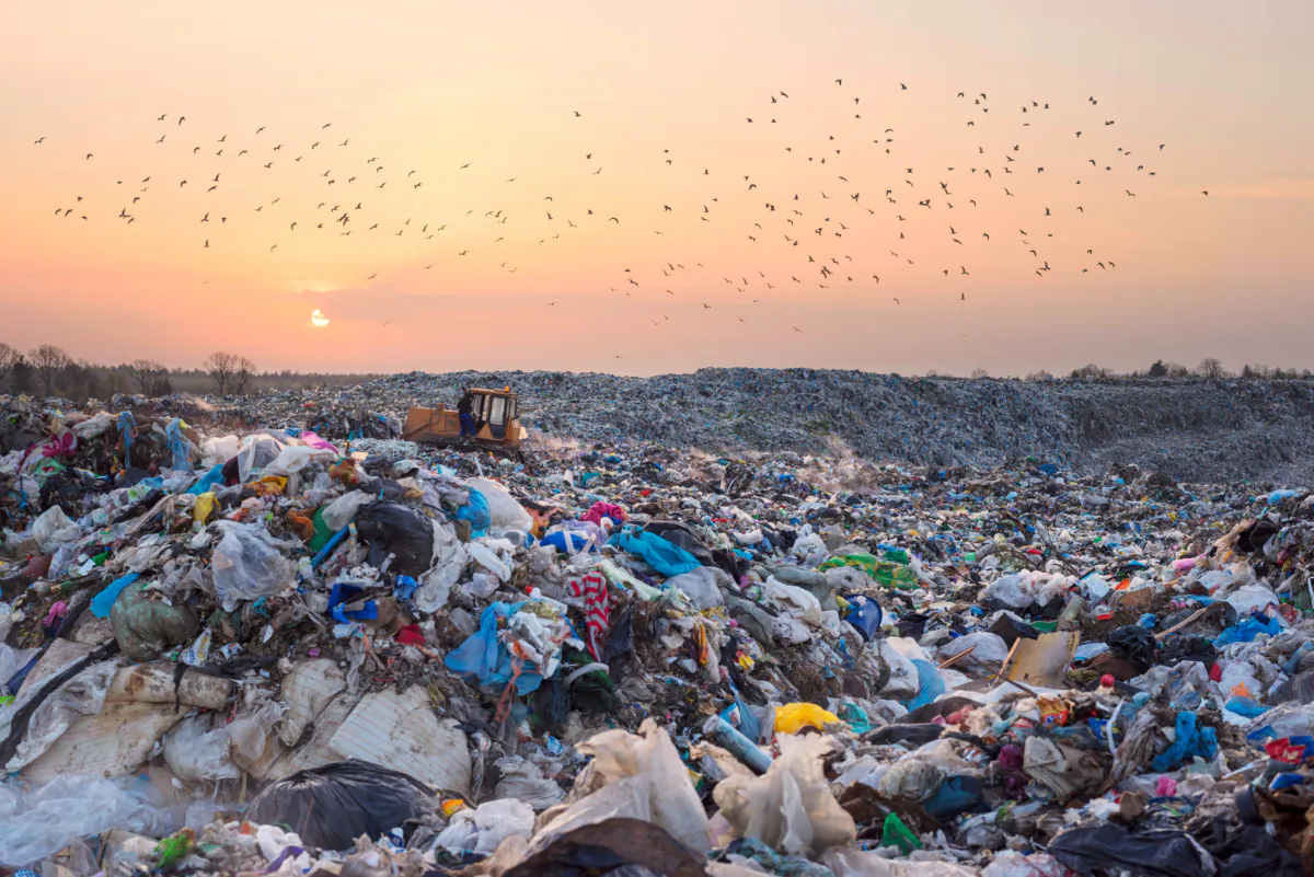 Seagulls fly over a landfill in Europe. (Roman Mikhailiuk/Shutterstock)