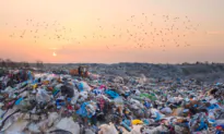 When Did Everything Become Disposable?