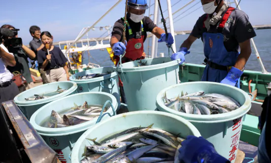 Japan Demands Reversal of Beijing’s ‘Unreasonable’ Seafood Ban