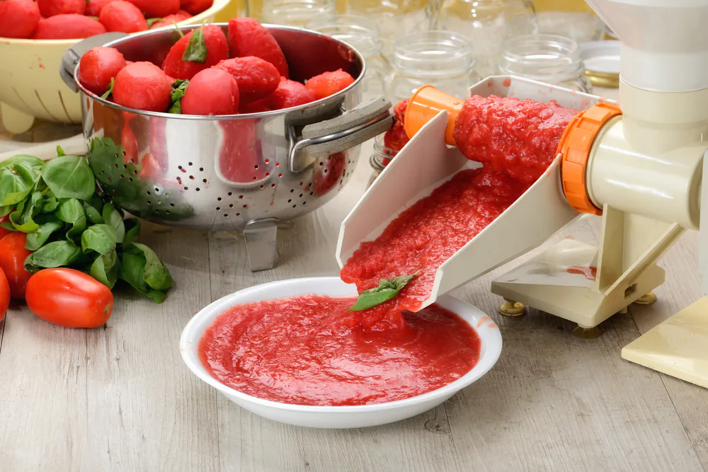 Blended tomatoes form the backbone of this homemade ketchup recipe. (Valerio Pardi/Shutterstock)