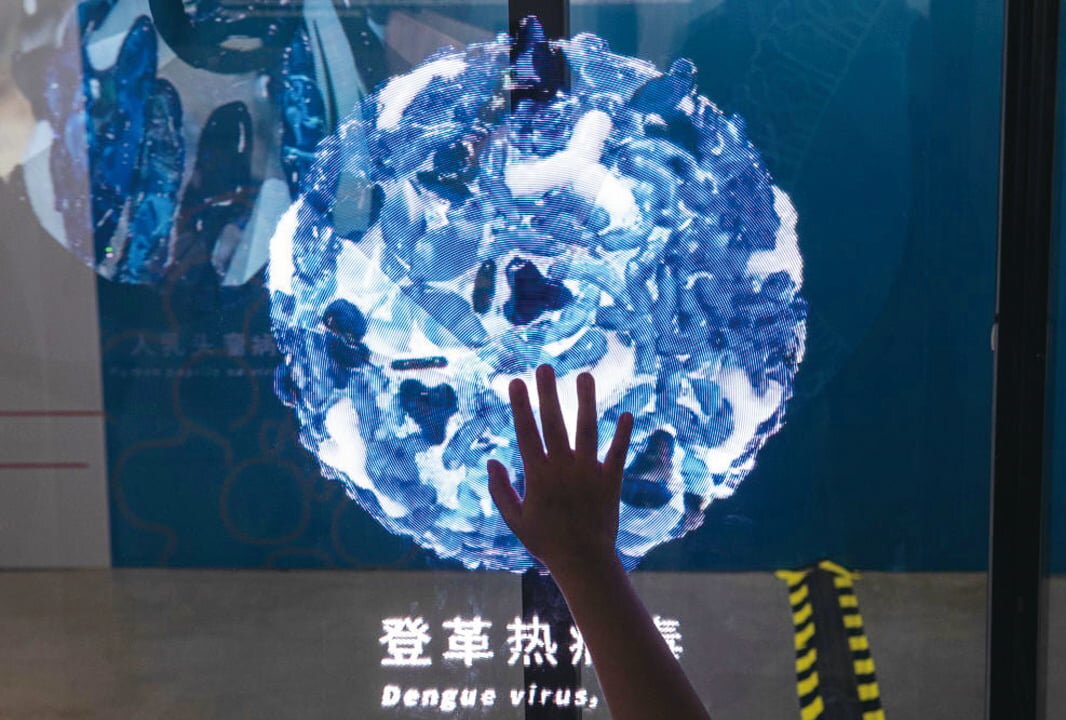 Dengue fever has recently surged in various regions of Yunnan, with hospitals overwhelmed and cases of fatalities reported. The image is an illustrative representation of the Dengue virus. (Getty Images)