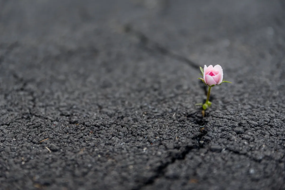 The fastest track to failure is giving up. (Bradley Dennien/Shutterstock)