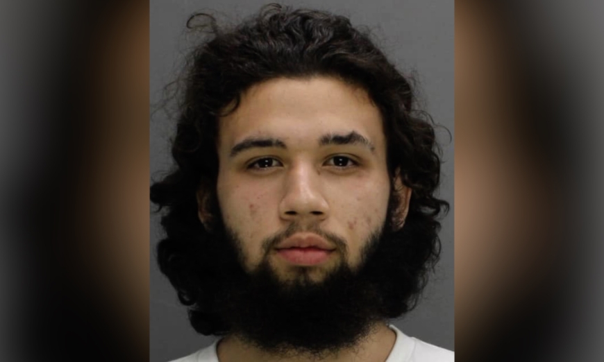 Illegal immigrant connected to deadly NY stabbing: County Executive