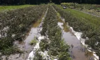 USDA Designates July Flooding a Disaster in Vermont, Making Farmers Eligible for Emergency Loans