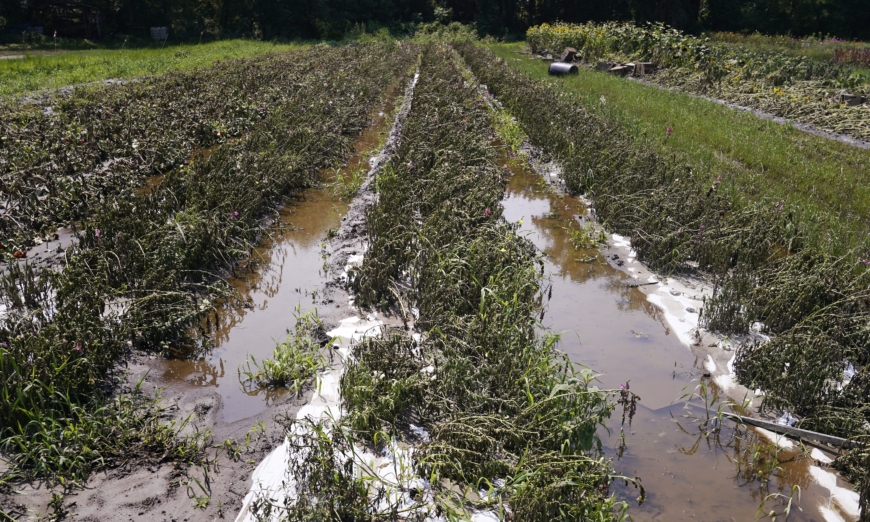 USDA declares Vermont’s July flooding a disaster, granting farmers access to emergency loans.