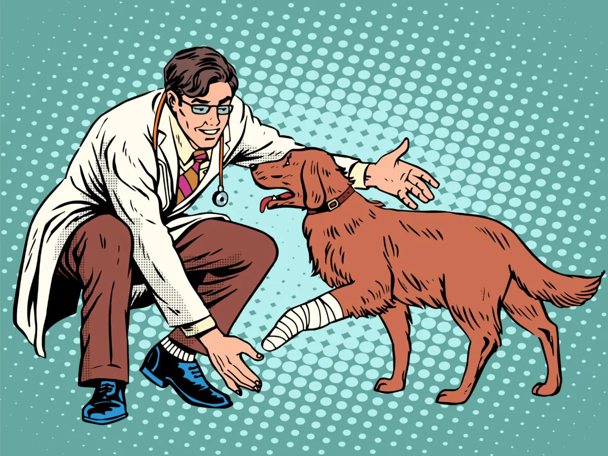 Make your visit as smooth as possible—for you, your vet, and your pet. (studiostoks/Shutterstock)
