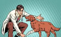 Doggy Doc Visits