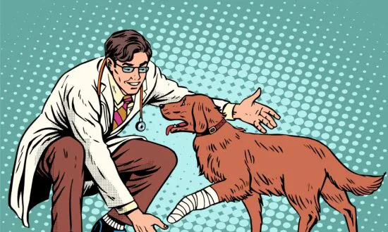 Doggy Doc Visits