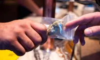 California Governor Vetoes Amsterdam-Style Cannabis Cafes