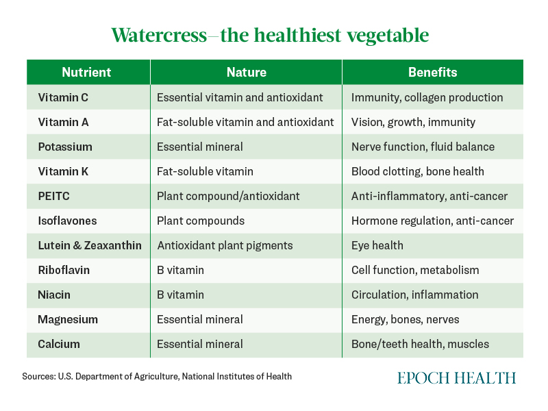 watercress-the-most-nutritious-vegetable-lowers-chronic-disease