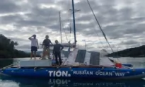 3 Rescued After Sharks Attack Inflatable Yacht Off Australian Coast