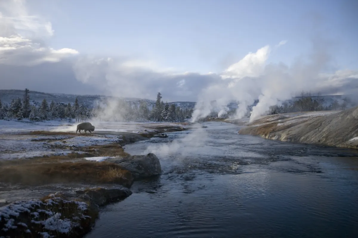 America's first national park, Yellowstone National Park in Montana, Wyoming and Idaho, is the only place in the United States where bison have lived continuously since prehistoric times. (Dreamstime /TNS)