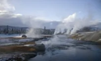 Where the Buffalo Roam