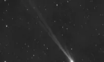 Across the Northern Hemisphere, Now’s the Time to Catch a New Comet Before It Vanishes for 400 Years
