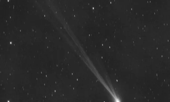Across the Northern Hemisphere, Now’s the Time to Catch a New Comet Before It Vanishes for 400 Years