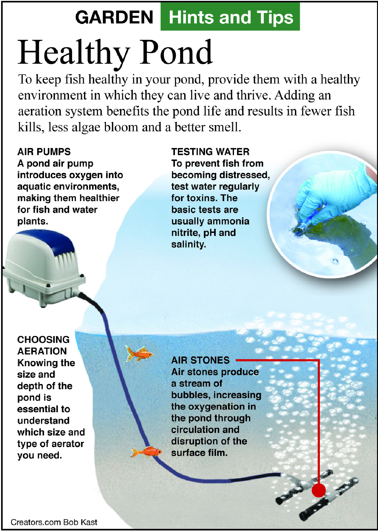 healthy pond tip sheet