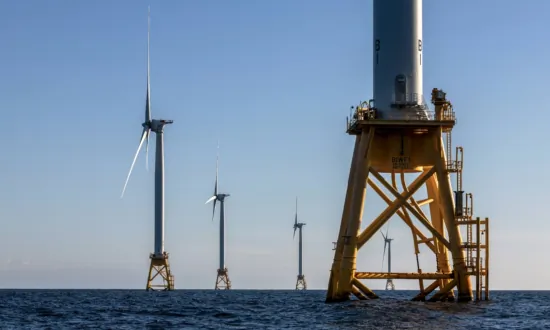 Fishermen Concerned That Ocean Wind Farms Are Ruining Environment, Their Livelihoods