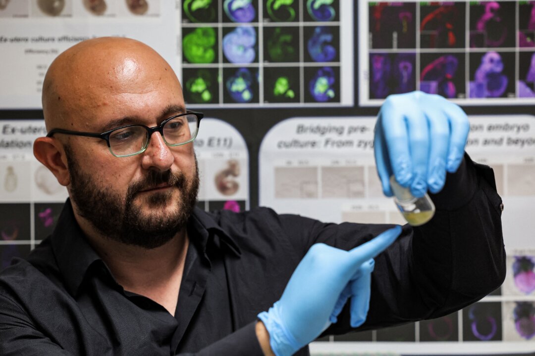 Dr. Jacob Hanna, a specialist in molecular genetics at Israel's Weizmann Institute of Science, holds a vial containing five-day-old synthetic mouse embryos grown in an electronically controlled ex-utero roller culture platform, in a lab in the Israeli central city of Rehovot on Aug. 4, 2022. (Ahmad Gharabli/AFP via Getty Images)