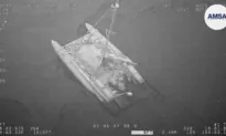 3 Sailors Reach Land Safely After Sharks Nearly Sink Their Catamaran in the Coral Sea
