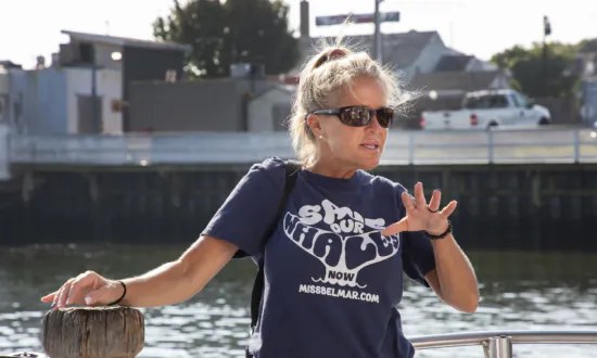 IN-DEPTH: New Jersey’s Offshore Wind Development Worries Activists