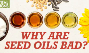 Oils, Fats, and Inflammation: Is What You Are Eating Helping or Hurting?