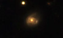 Black Hole Is Observed Snacking on Sun-Like Star, Bite by Bite