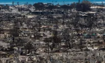 The Number of People Missing Following Devastating Maui Wildfires Has Dropped to 66, Governor Says