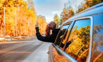 Autumn Adventures: Your Roadmap for a Fall Road Trip