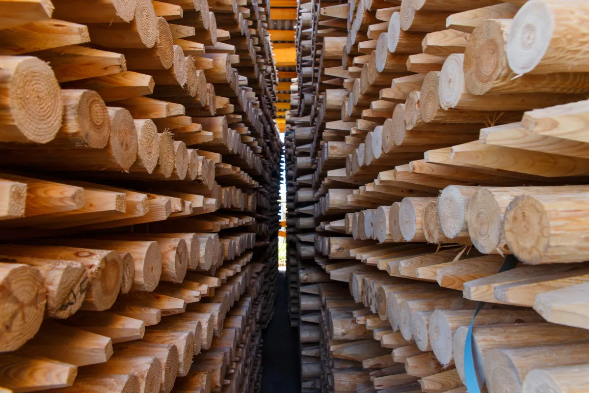 Piles of wooden boards in a sawmill in a file photo. (Shutterstock)
