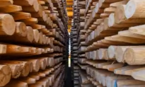 Wisconsin Sawmill Agrees to Pay $191,000 to Federal Regulators After 16-Year-Old Boy Killed on the Job
