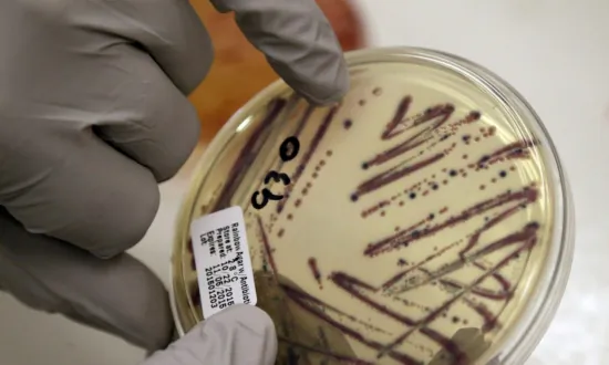 E. Coli Detection Leads to Boil Water Alerts in 2 Mississippi Cities